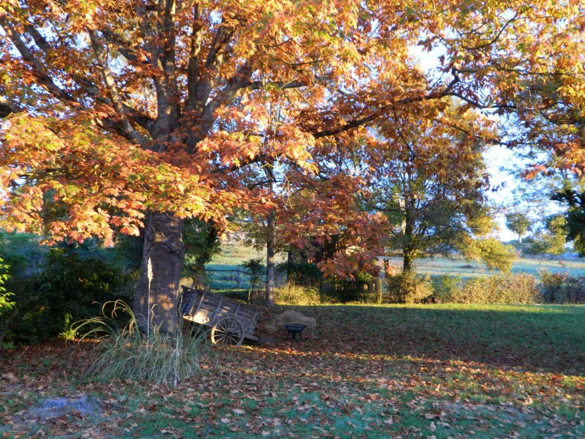 Centre De Bien-Etre Et Ses Chambres D'Hote Villeneuve-de-Rivière Exteriér fotografie